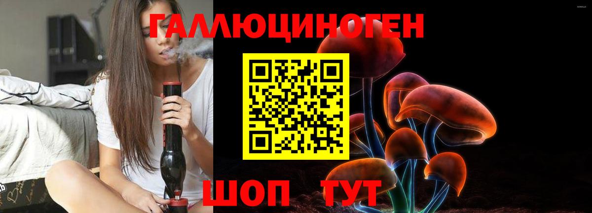 Галлюциногенные грибы Cubensis Кировск