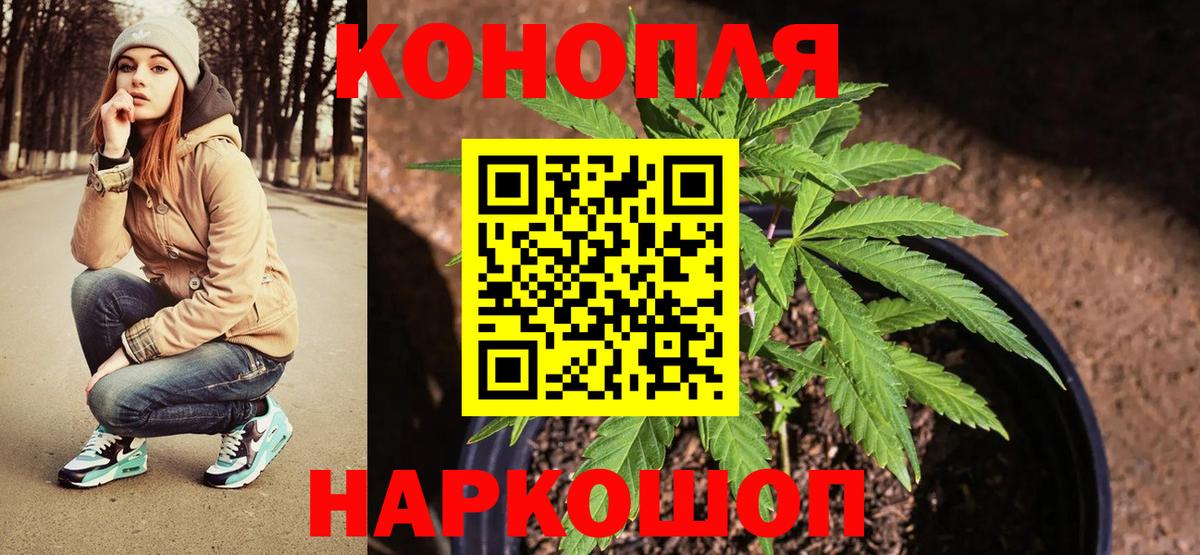 Конопля Amnesia Кировск